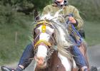 appleby horse fair