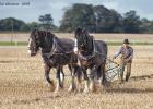 national ploughing championship